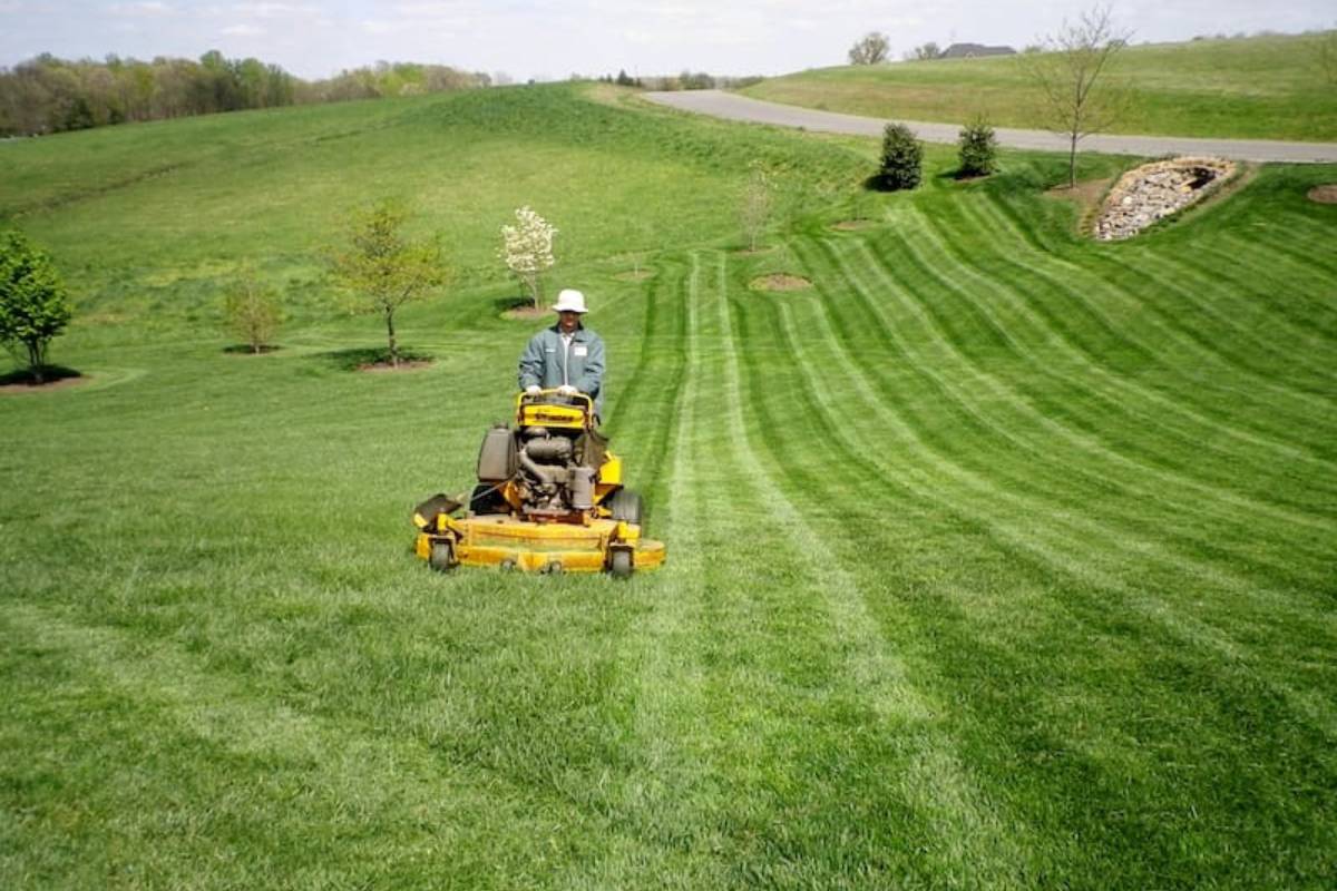 Gardening Landscaping Lawn Service