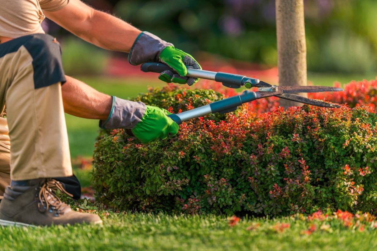 Gardening Landscaping Lawn Service01