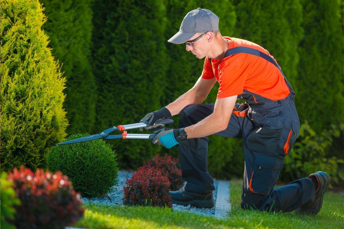 Gardening Landscaping Lawn Service02