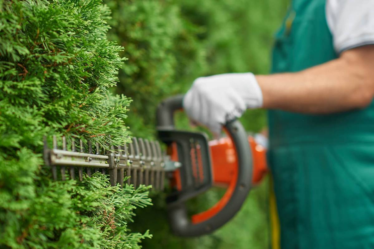 Gardening Landscaping Lawn Service03