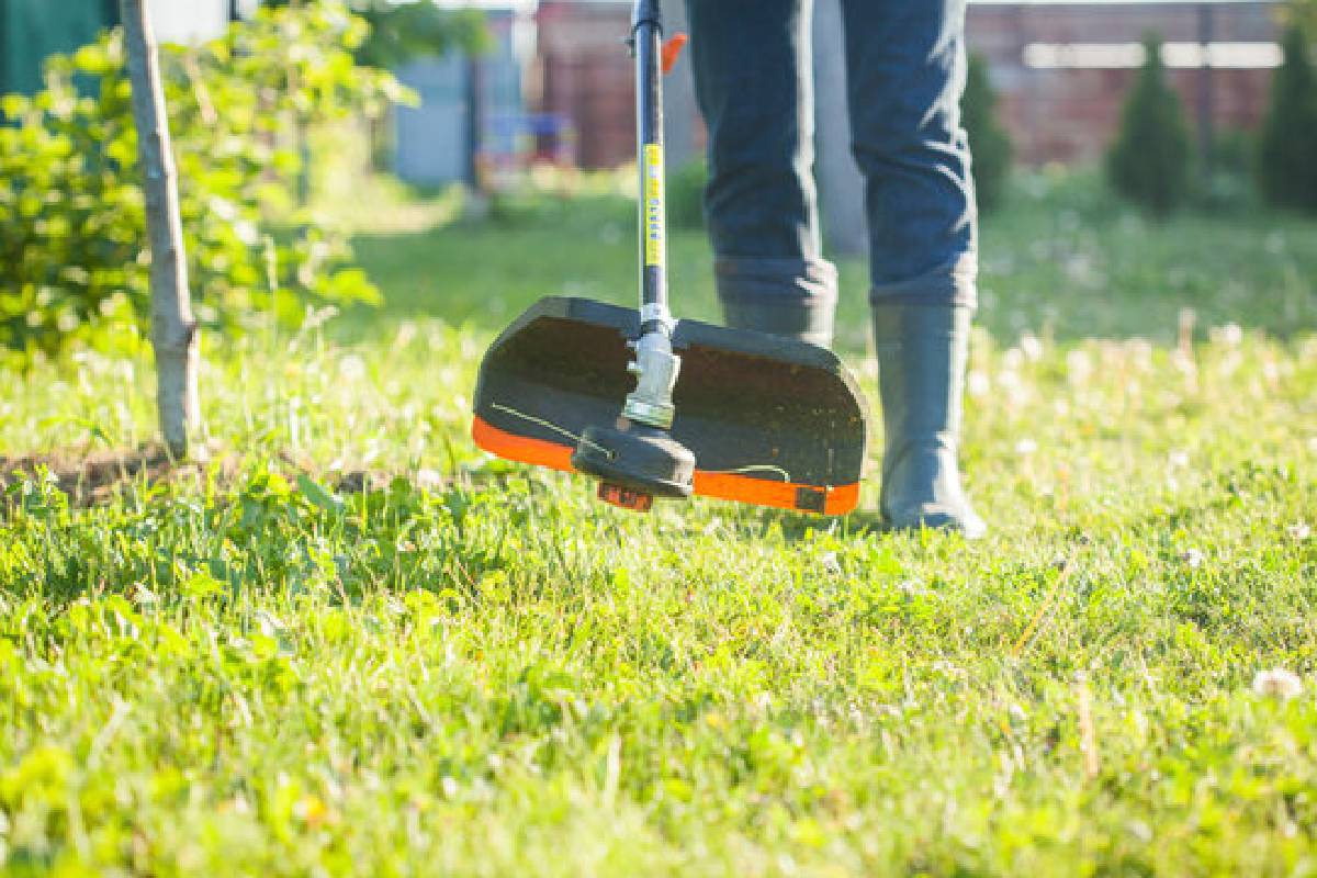 Lawn Mowing Service03