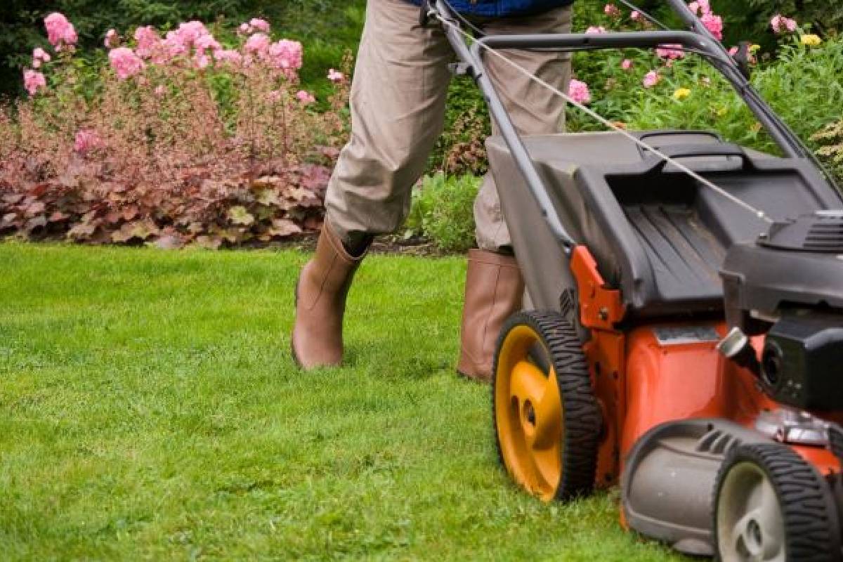 Lawn Mowing Service04
